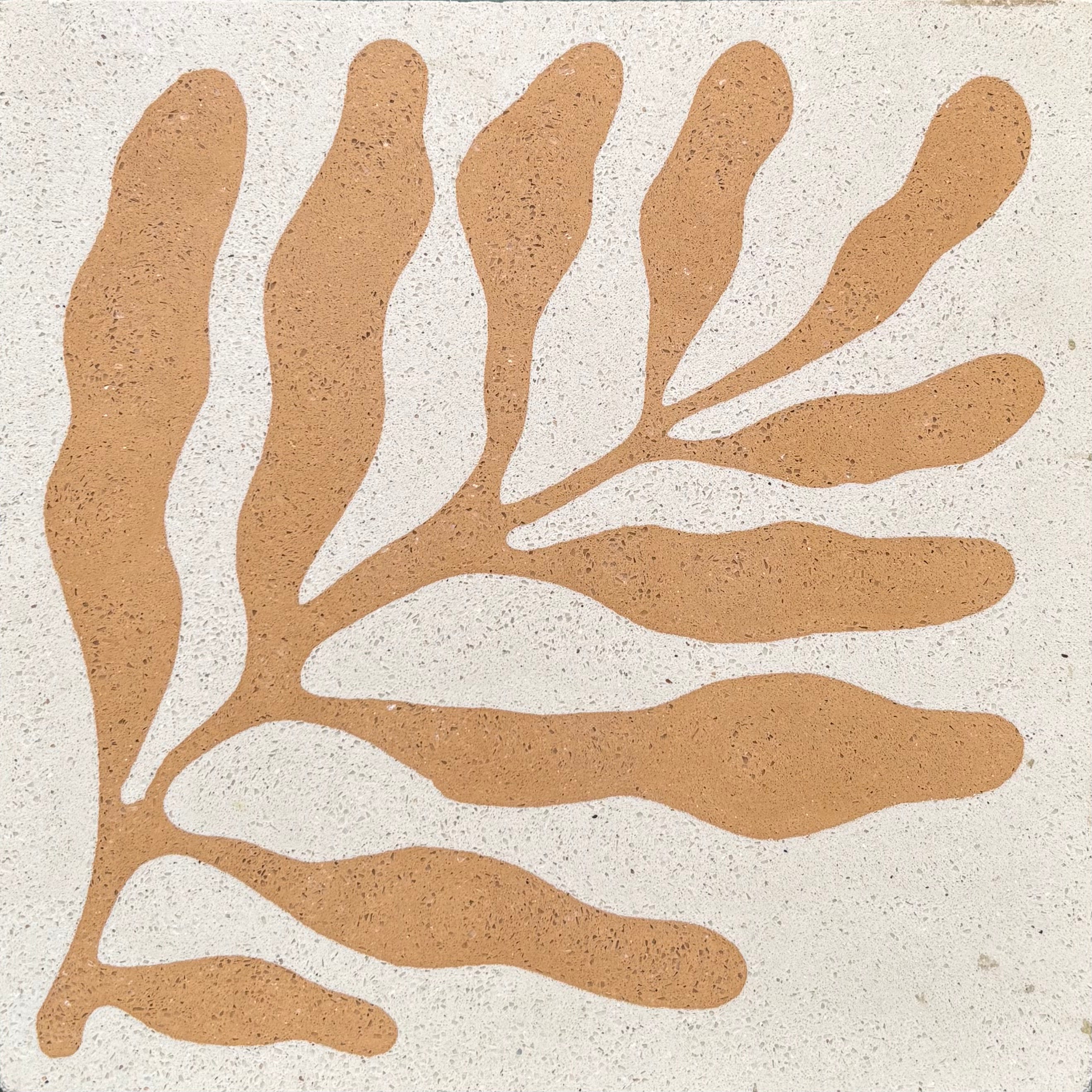 Algue - Cement Tile