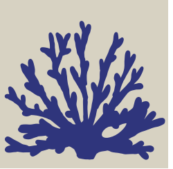 Aqua - Cement Tile