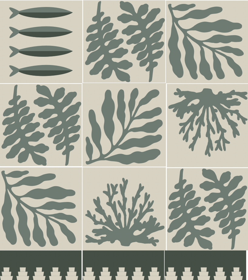 Algue - Cement Tile
