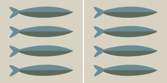 Sardines - Cement Tile