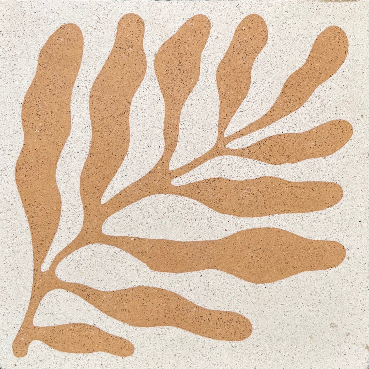 Algue - Cement Tile