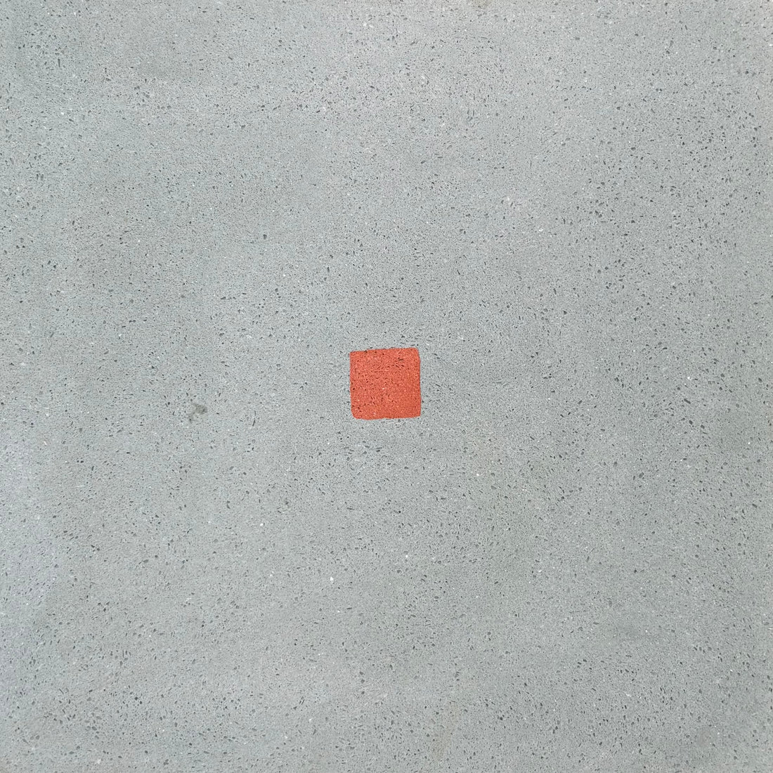 Jasmine Big Petals - Cement Tile
