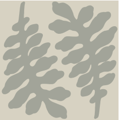 Fougère - Cement Tile
